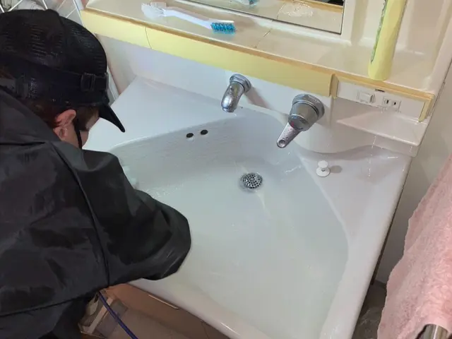 【年末前の今がお得】洗面所クリーニングで清潔＆爽快な毎日へサービスの画像