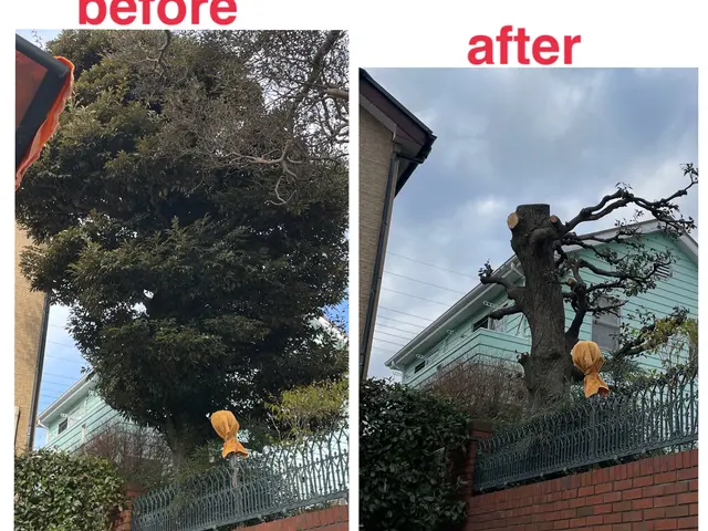 ◆カード決済OK◆大切なお庭をキレイにします◆技能講習多数の私にお任せ下さいサービスの画像