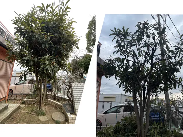 ◆カード決済OK◆大切なお庭をキレイにします◆技能講習多数の私にお任せ下さいサービスの画像