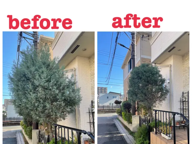 ◆カード決済OK◆大切なお庭をキレイにします◆技能講習多数の私にお任せ下さいサービスの画像