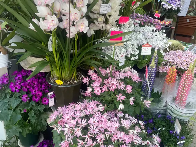 【2級造園施工管理技士】業歴7年◎自社スタッフが迅速丁寧に仕上げます。サービスの画像