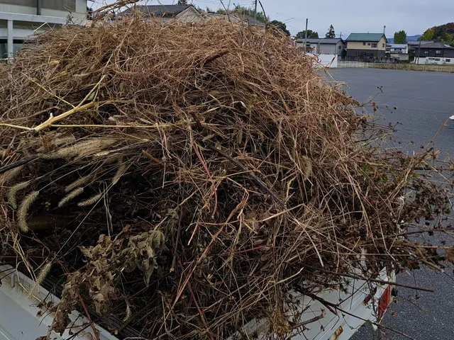 【農家歴12年のプロが安全資格でお庭を美しく】女性スタッフも可能◎サービスの画像