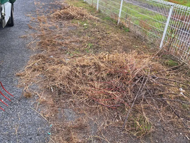 【農家歴12年のプロが安全資格でお庭を美しく】女性スタッフも可能◎サービスの画像