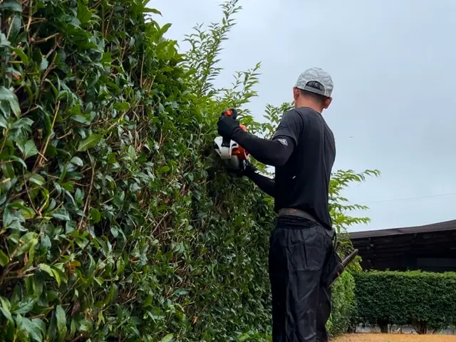 【1月出店記念】プロの技術でご満足いただけるように心を込めて作業いたしますサービスの画像