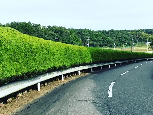 【1月出店記念】プロの技術でご満足いただけるように心を込めて作業いたしますサービスの画像