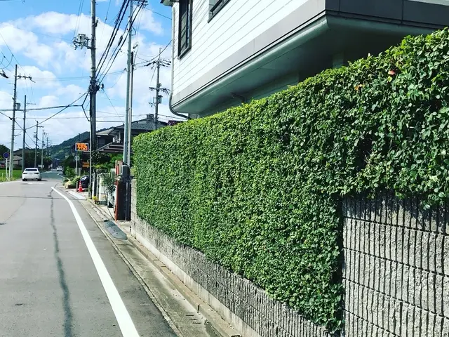 【1月出店記念】プロの技術でご満足いただけるように心を込めて作業いたしますサービスの画像