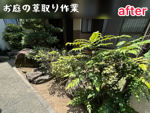 年間実績200件以上！仕上り満足間違い無し！「熊本の便利屋さんスケット」にお任せサービスの画像