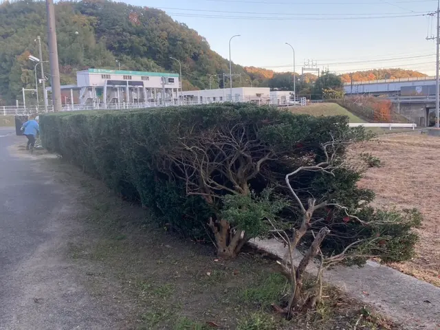 【女性スタッフも可】よく怖いと言われますが笑顔で明るくお伺いします！サービスの画像