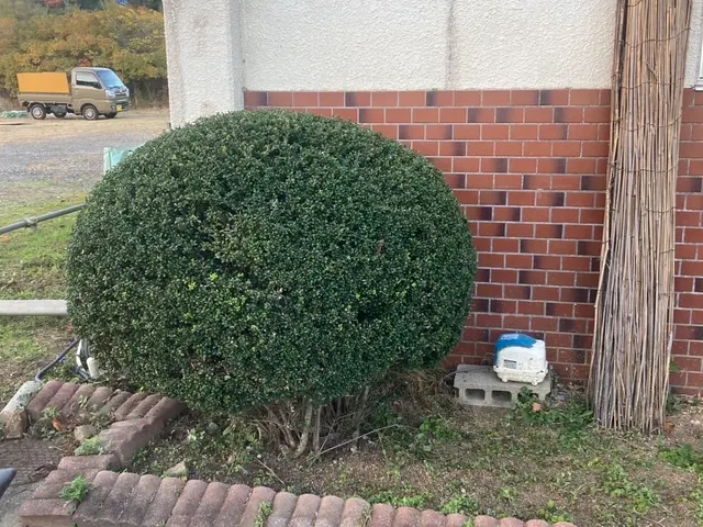 【女性スタッフも可】よく怖いと言われますが笑顔で明るくお伺いします！サービスの画像