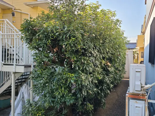 【業歴11年】納得していただけるまで、何度でも手直し致します。損害保険加入済み◎サービスの画像