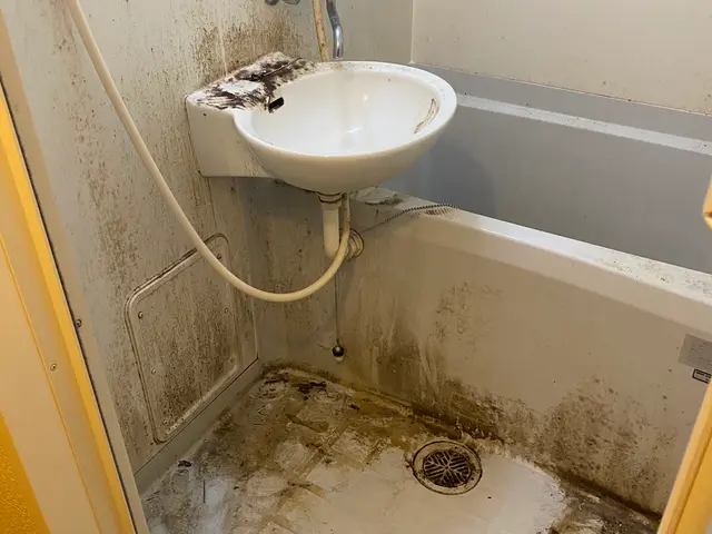 戸建て、アパートのハウスクリーニング4Kなど一戸建ての場合は見積もりになりますサービスの画像