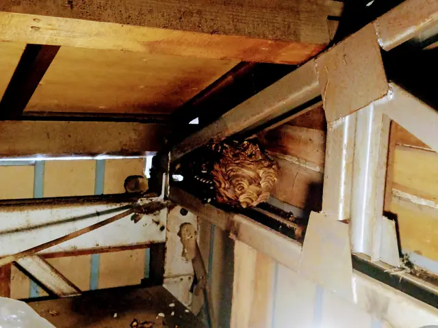 ボッタクリ根絶！本日作業希望の方メッセージ下さい！半年再発保証＆忌避剤散布込み！サービスの画像