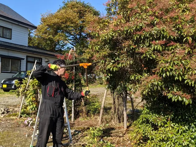 【 庭木の剪定 】　※岩手県全域対応(対象地域外は交通費等別途。)サービスの画像