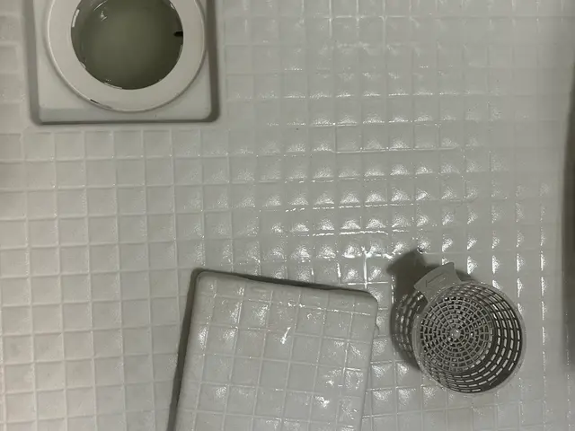 水回りクリーニング / 2点セット（お風呂＋換気扇）コツコツ丁寧に作業いたしますサービスの画像