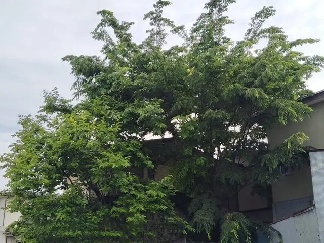 【福島県密着】大手便利屋での経験有!!　　即日対応OK◎営業時間外も対応OK◎サービスの画像