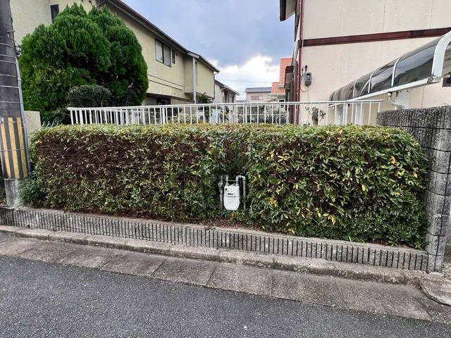 【生垣の剪定】迅速・丁寧な対応！地域密着サービス！サービスの画像