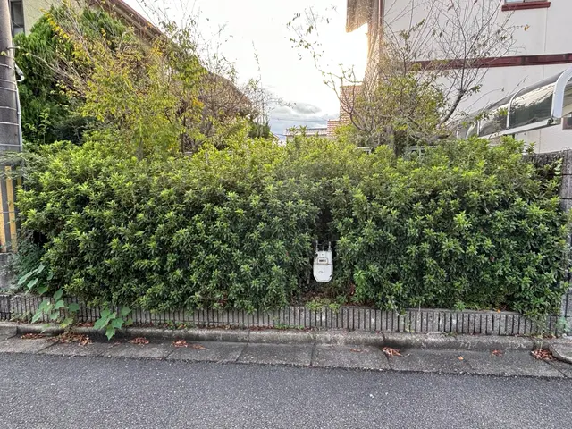 【生垣の剪定】迅速・丁寧な対応！地域密着サービス！サービスの画像