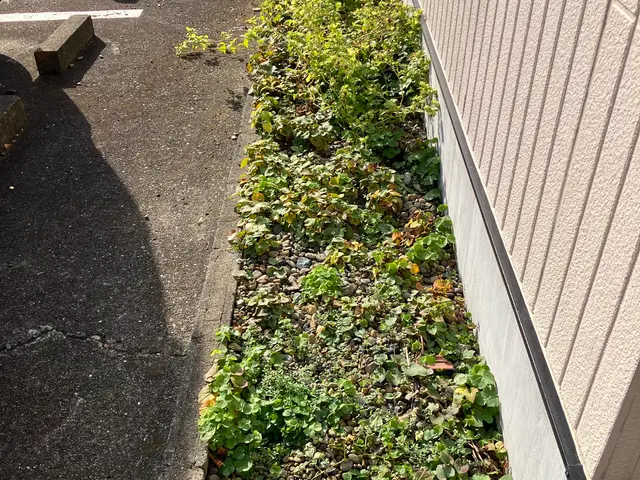 本日25日午後空いてます。年末セール中。他作業可能日は27日28日29日30日サービスの画像