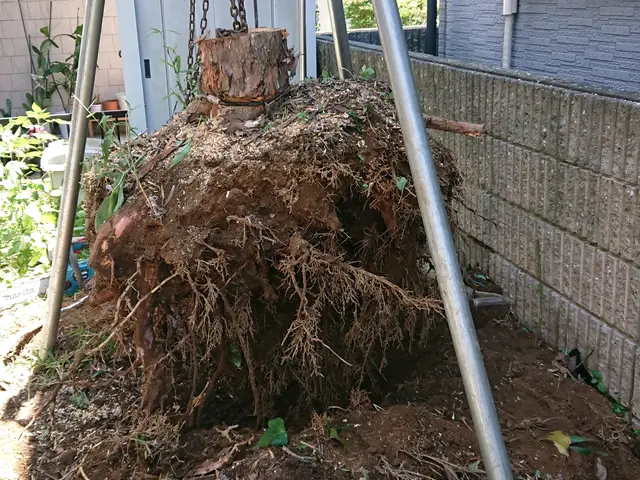 ★ご家庭の伐採抜根の専門店です1本からお伺い可能！メール頂ければ即対応致します。サービスの画像