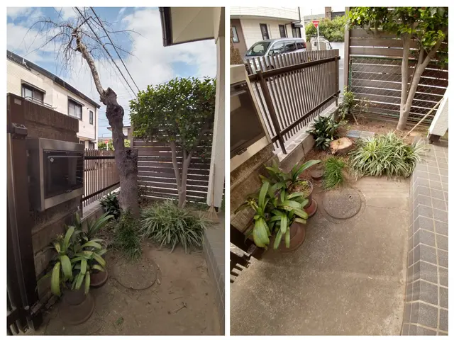 高木15メートル以上、困難な場所での特殊伐採も安全に作業いたします。サービスの画像