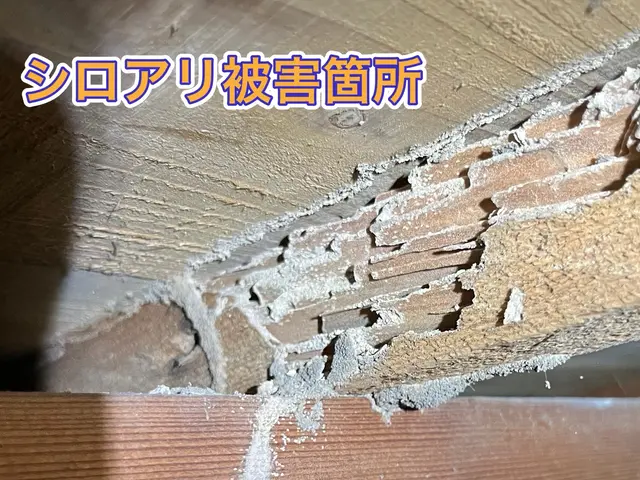 【担当案件数1万件以上】大手消毒会社10年在籍／半永久的に効果持続の薬剤取扱中サービスの画像