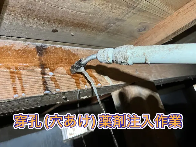 【担当案件数1万件以上】大手消毒会社10年在籍／半永久的に効果持続の薬剤取扱中サービスの画像