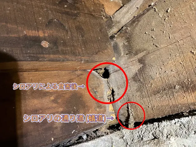 【担当案件数1万件以上】大手消毒会社10年在籍／半永久的に効果持続の薬剤取扱中サービスの画像