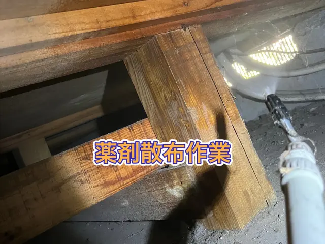 【担当案件数1万件以上】大手消毒会社10年在籍／半永久的に効果持続の薬剤取扱中サービスの画像