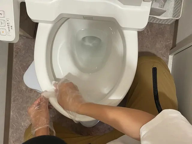 11月予約★トイレクリーニング◎トイレをキレイにして運気UP★便器の尿石除去サービスの画像