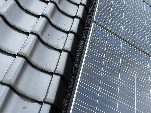 害鳥（ハト・カラス・スズメ等）駆除・防除作業一式、承ります。サービスの画像