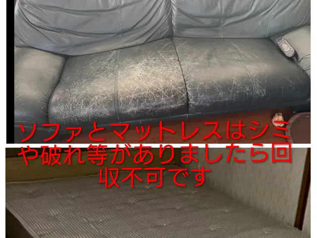 【ご好評につき継続中】5㎥積み放題プラン！18000円→14000円で！サービスの画像