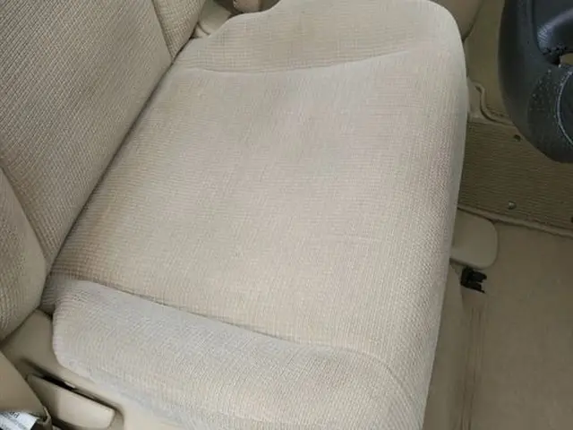 ◆イオンの活性パワーで車内の汚れや臭いの元を強力洗浄！◆サービスの画像