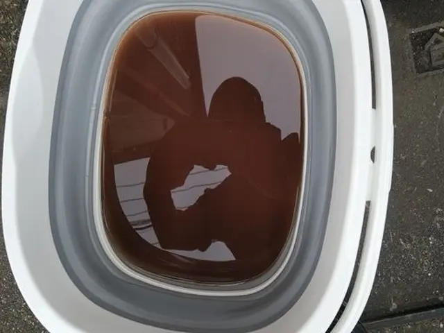 ◆イオンの活性パワーで車内の汚れや臭いの元を強力洗浄！◆サービスの画像