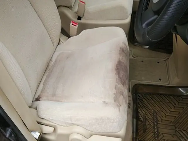 ◆イオンの活性パワーで車内の汚れや臭いの元を強力洗浄！◆サービスの画像