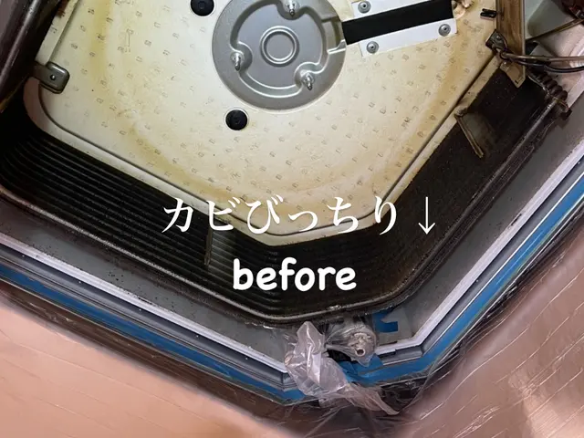 【技術に自信あり】複数割引でさらにお得に！　丁寧・テキパキ作業がモットーです！サービスの画像