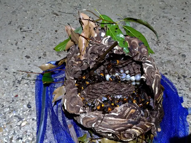 【業界14年の豊富な経験あり！】年中無休◎当社のプロ集団が全て対応いたします！サービスの画像