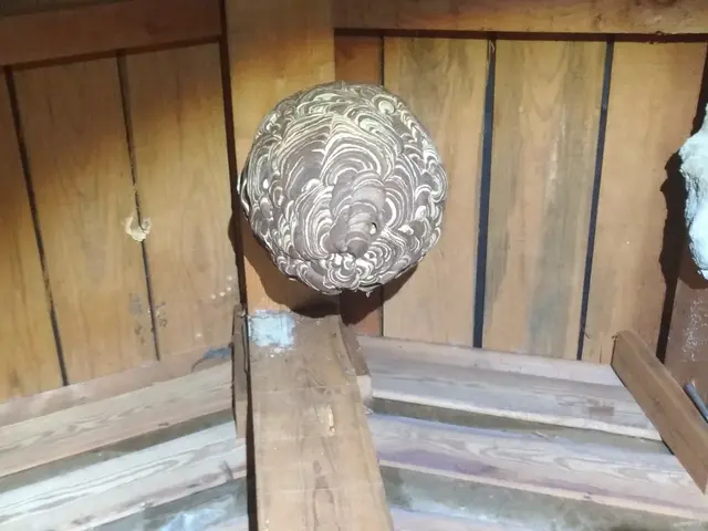 【業界14年の豊富な経験あり！】年中無休◎当社のプロ集団が全て対応いたします！サービスの画像