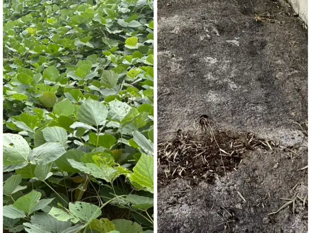 店長訪問で安心！即日相談可/時間外可/立合い無しも◎/有料駐車場代無料☆サービスの画像