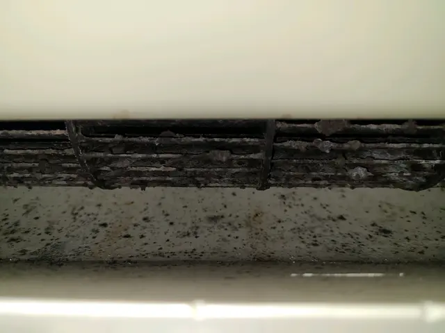 今だけ☆1台8000円～！２台目以降1台7000円～！超お得!!この機会にぜひサービスの画像