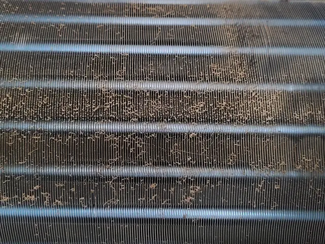 今だけ☆1台8000円～！２台目以降1台7000円～！超お得!!この機会にぜひサービスの画像