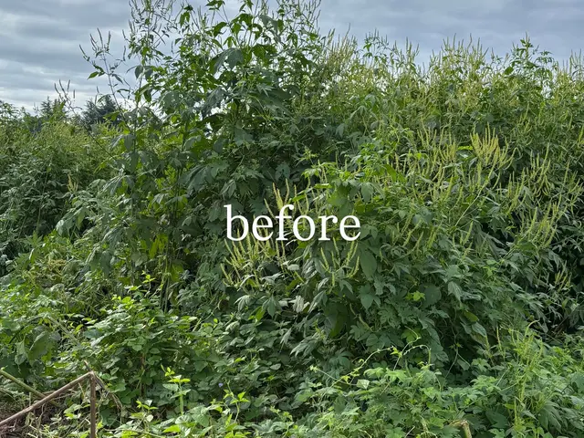 【お見積もり無料】☆明朗会計☆時間外・土日祝もご相談ください！サービスの画像