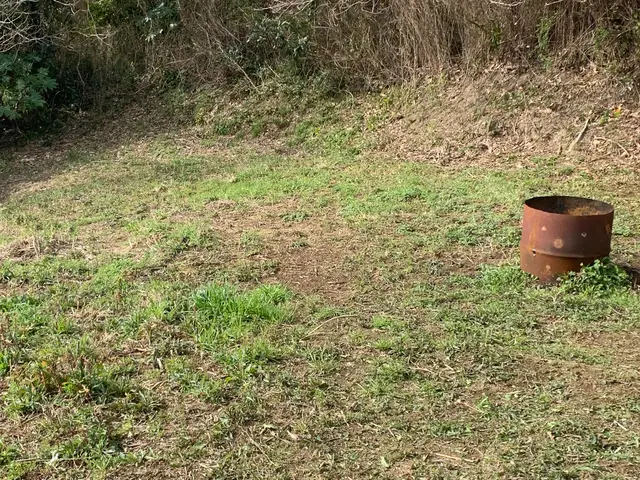 植物を愛する植木屋が見極める草刈り！必要な植物はしっかり残します。サービスの画像