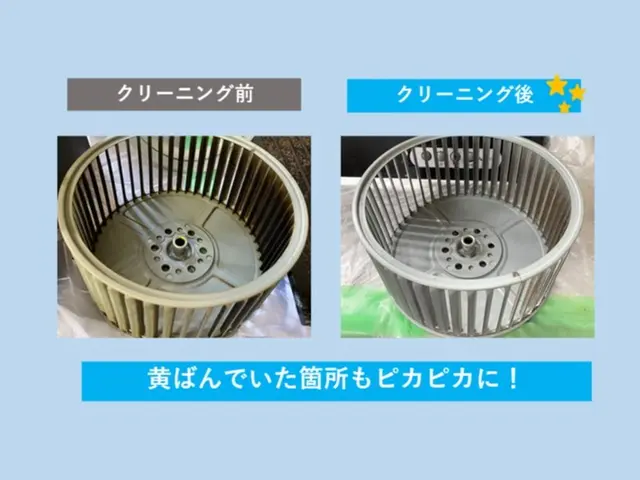 ココロもカラダも健康に！お子様やペットにも安心の環境や人に優しい洗剤を使用！サービスの画像