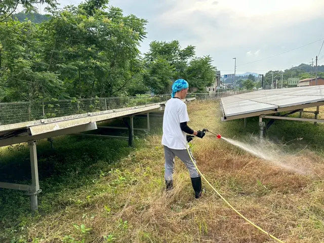 年間300件超・5年の実績と信頼！丁寧な作業に自信あり！太陽光発電所も得意です！サービスの画像