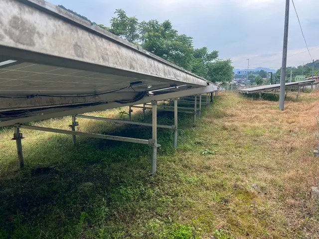 年間300件超・5年の実績と信頼！丁寧な作業に自信あり！太陽光発電所も得意です！サービスの画像