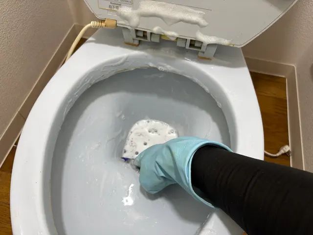 トイレ清掃  丁寧なクリーニングで満足頂けるように頑張ります！サービスの画像