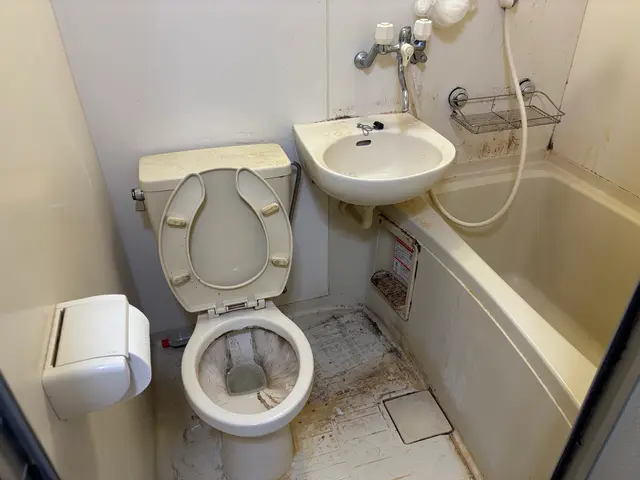 トイレ清掃  丁寧なクリーニングで満足頂けるように頑張ります！サービスの画像