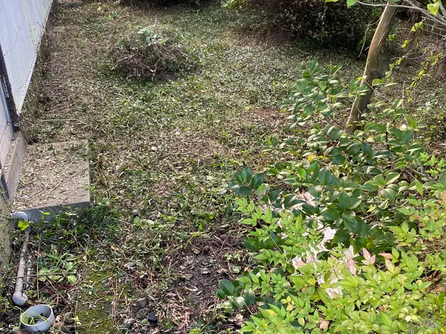 ◆岐阜市発◆便利屋本舗岐阜店年中無休・土日祝もご予約大歓迎！営業時間外も対応OKサービスの画像