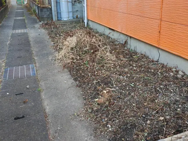 仕上がりに自信あり！電動、エンジン式完備！豊富な経験でお庭の困ったをお助け！サービスの画像