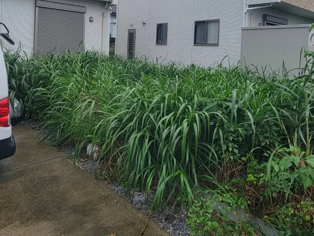 仕上がりに自信あり！電動、エンジン式完備！豊富な経験でお庭の困ったをお助け！サービスの画像